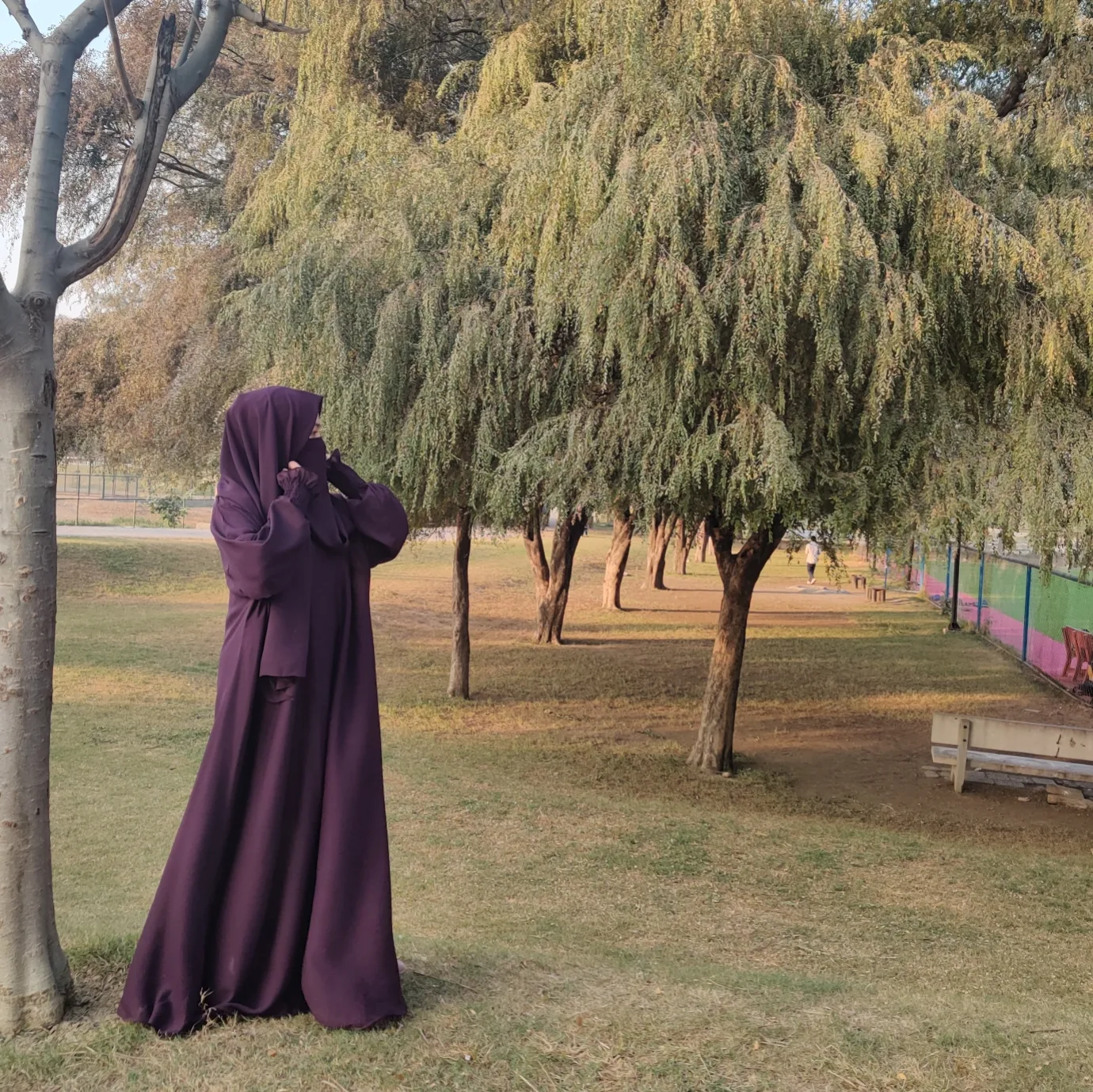 IMG_20241211_185659_521