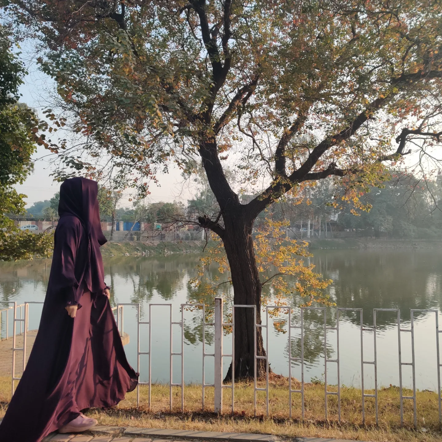 IMG_20241211_185659_537