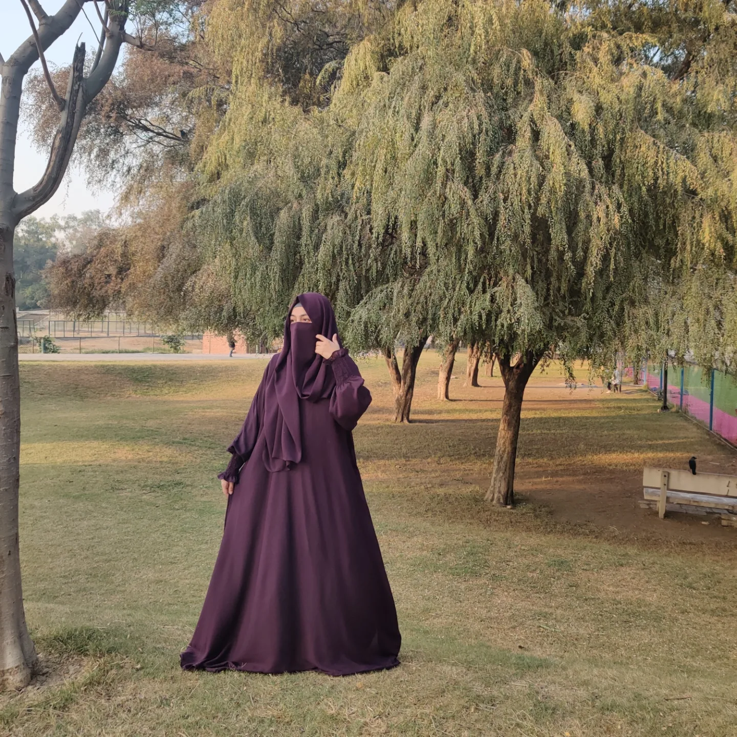 IMG_20241211_185659_549