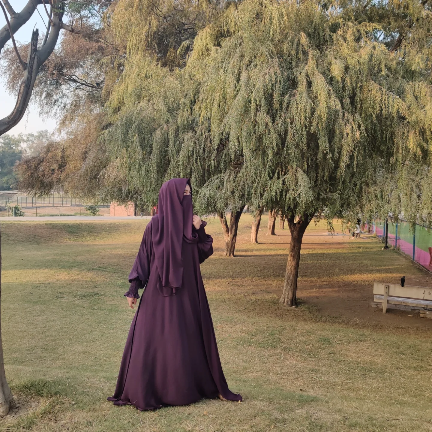 IMG_20241211_185659_571