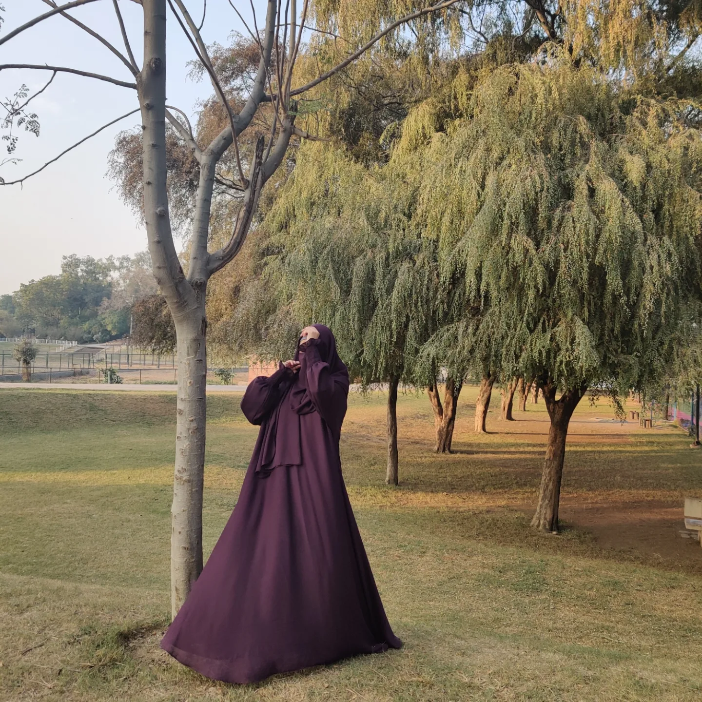 IMG_20241211_185659_579