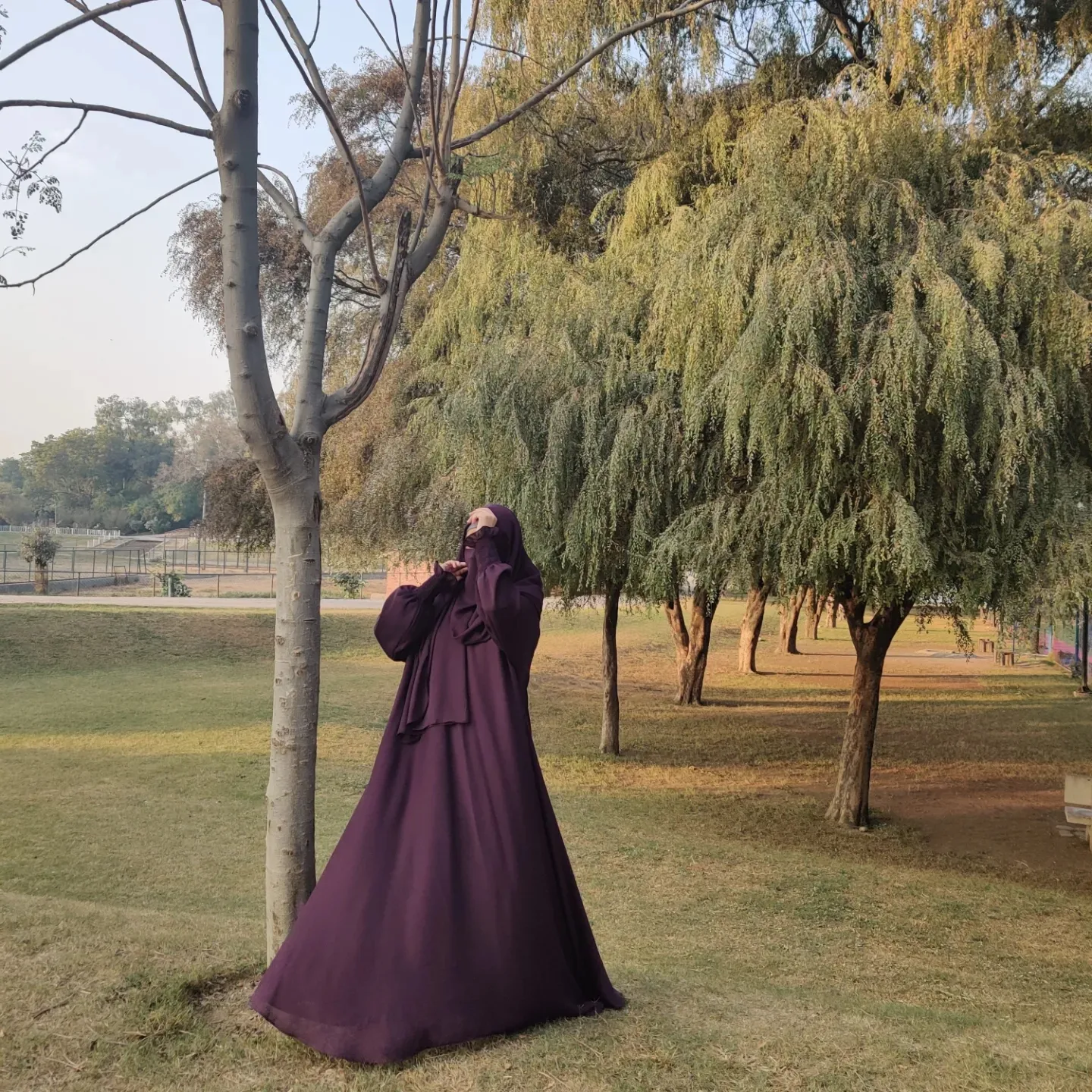 IMG_20241211_185914_746