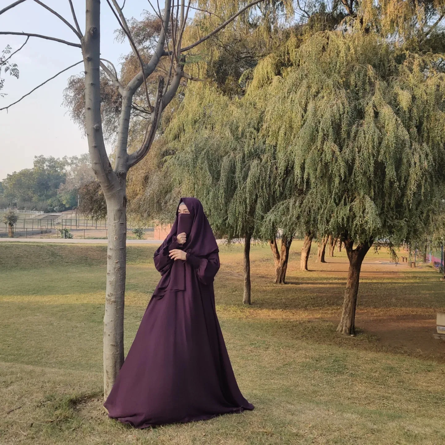 IMG_20241211_185914_785