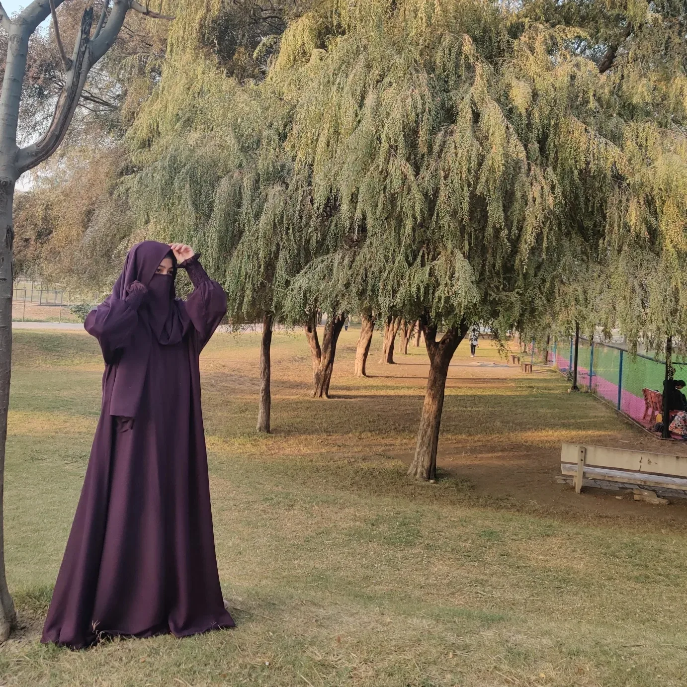 IMG_20241211_185914_816