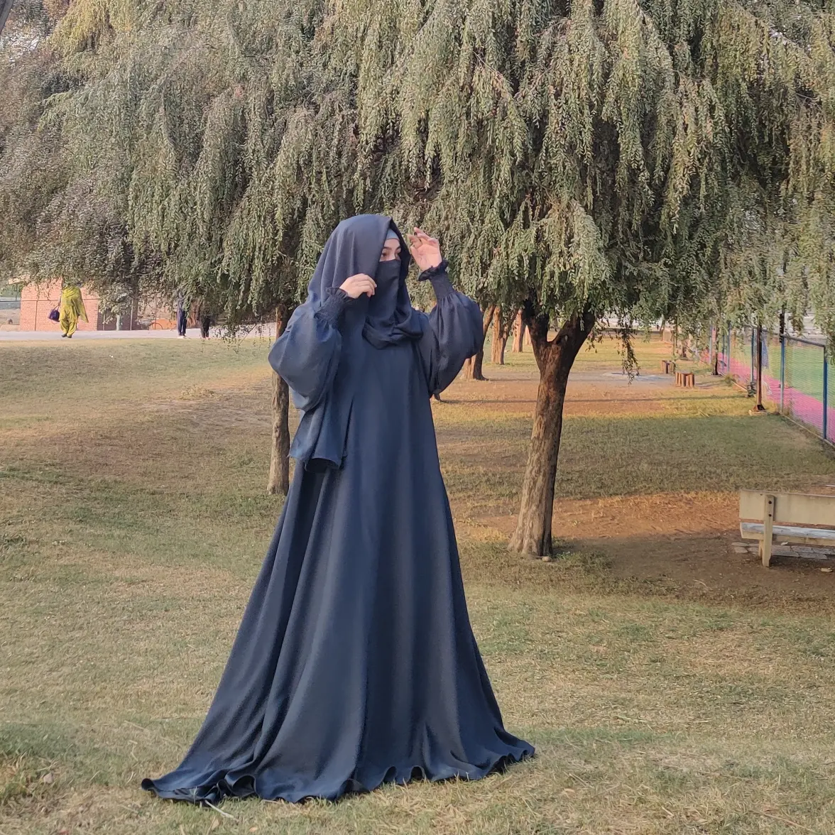 IMG_20241211_181336_091