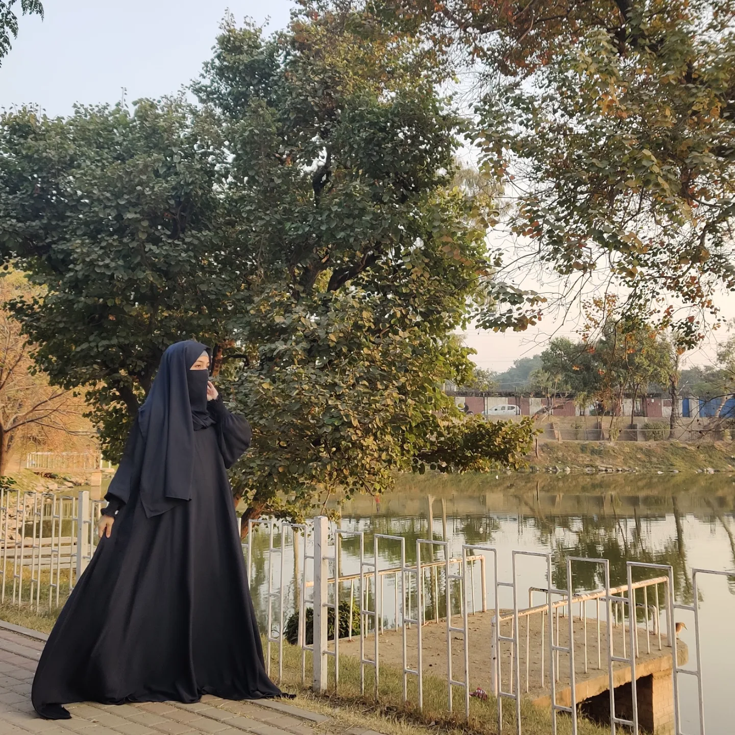 IMG_20241211_181707_469