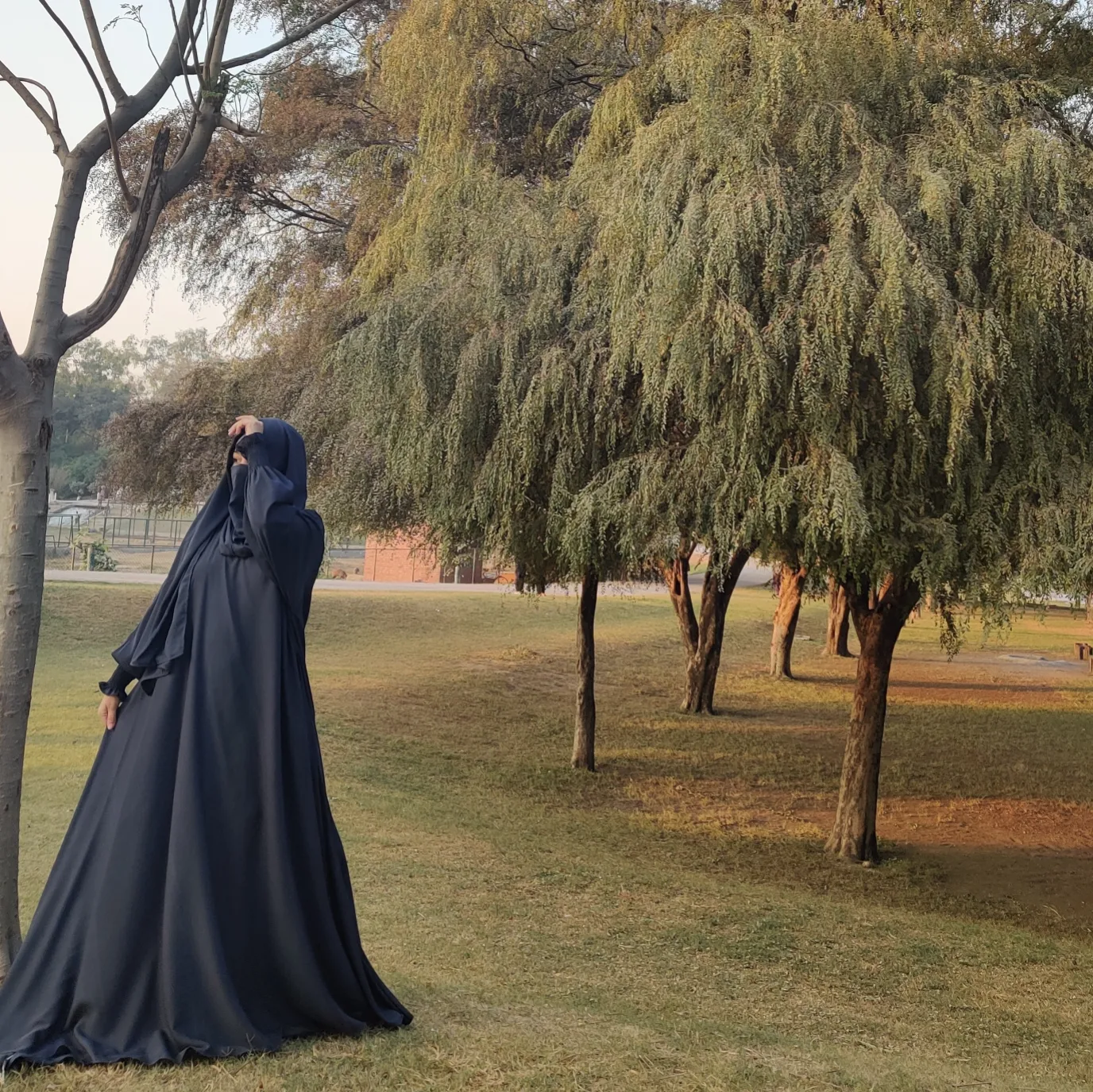 IMG_20241211_181707_576